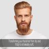 image:imageL3 Level 3 Beard Shampoo  Cleanse and Nourish Your Facial Hair  Softens and Tames Frizzy Beards5 Fl Oz Pack of 1